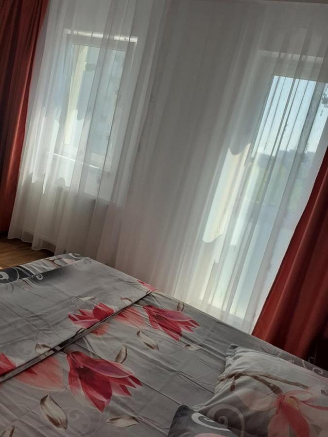 斯拉蒂纳Casa Roxana公寓 外观 照片